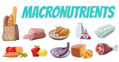 food and macronutrient combinations that support weight loss programs
