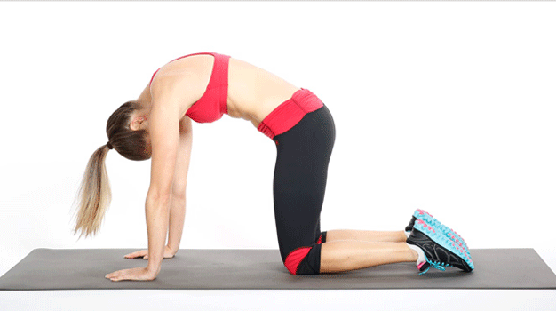 20 Most progressive Yoga poses to build up total body for beginners 3 cat pose yoga