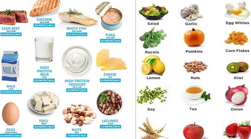 high protein food list for weight loss