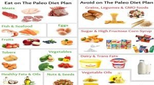 paleo diet meal plan