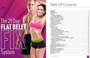 flat belly fix book program