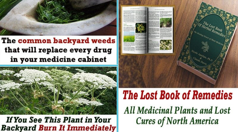 The lost book of remedies review