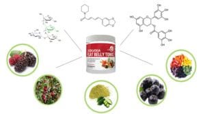 Okinawa Flat belly tonic fruit elements