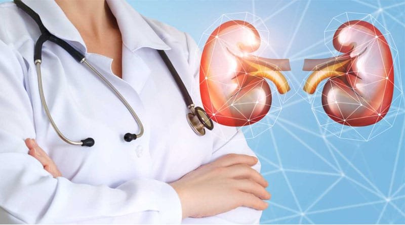 kidney disease solution