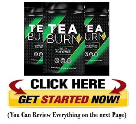 java burn buy now button