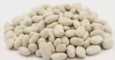 Are Great Northern Beans Healthy? Explore Their Benefits 9 are great northern beans healthy
