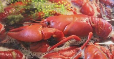 Health Benefits of Crawfish: Nutritional Advantages of Crawfish 2 health benefits of crawfish