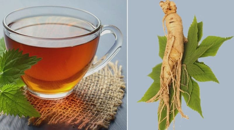 Benefits of Green Tea and Ginseng: Natural Boost for Health and Wellness 1 benefits of green tea and ginseng