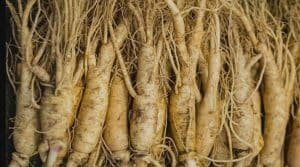 green tea and ginseng boost metabolism