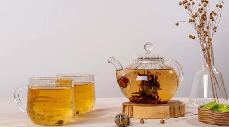 Hojicha Green Tea Benefits: Boost Relaxation and Focus 1 hojicha green tea benefits