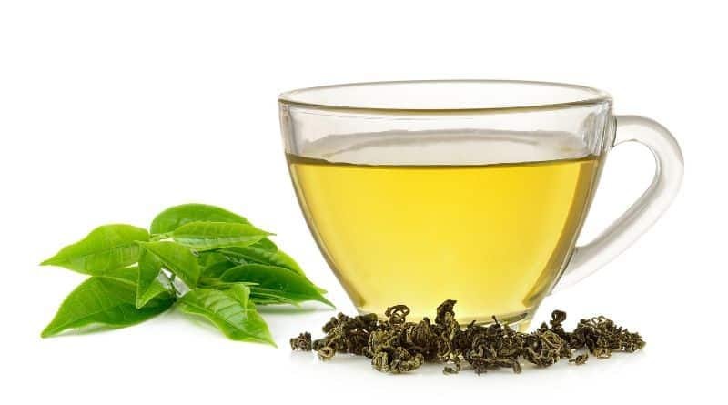Mao Feng Green Tea Benefits: Boost Energy and Focus 1 mao feng green tea benefits