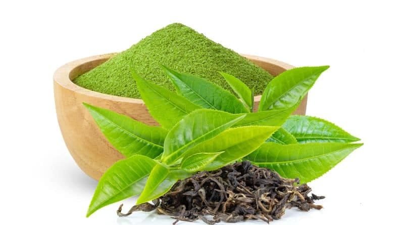 Mao Feng Green Tea Benefits: Boost Energy and Focus 3 mao feng green tea for heart health