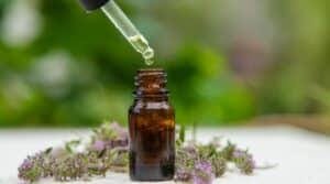 black oregano oil boosts gut health