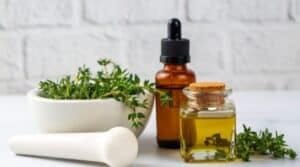 black oregano oil is a natural powerhouse