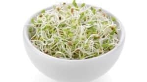 eating broccoli sprouts