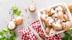 mushrooms benefit for reduce the risk of chronic diseases
