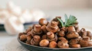mushrooms benefit for rich in nutrients