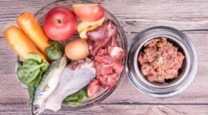 nutrients in the carnivore diet