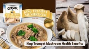 king trumpet mushroom health benefits