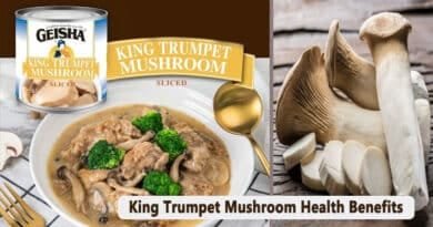 king trumpet mushroom health benefits